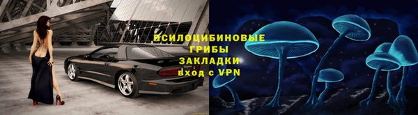 дживик Пестово