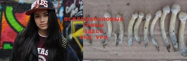 ECSTASY Остров
