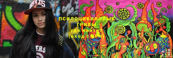 дживик Пестово