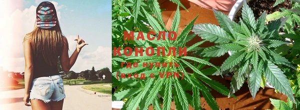 дживик Пестово