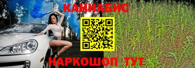 метадон Дубна