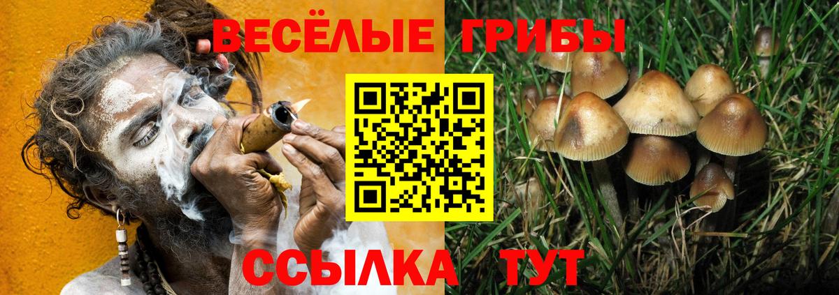 Псилоцибиновые грибы мицелий  Североморск 