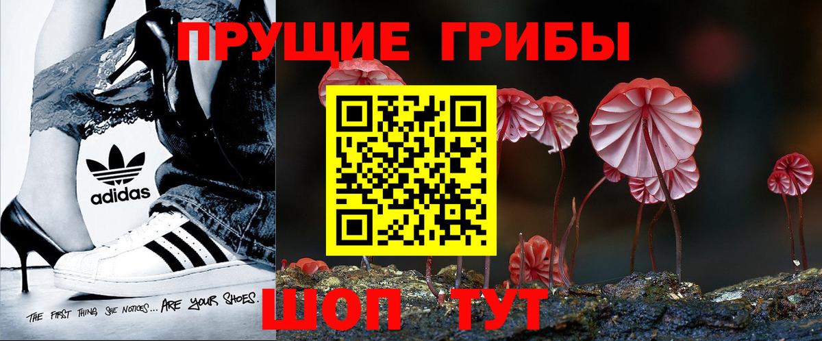 Псилоцибиновые грибы прущие грибы Североморск