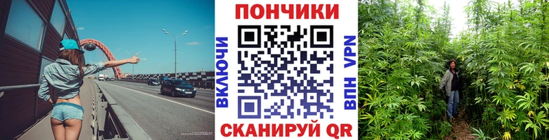 Конопля Amnesia  нарко площадка как зайти  Североморск  купить наркотики сайты 