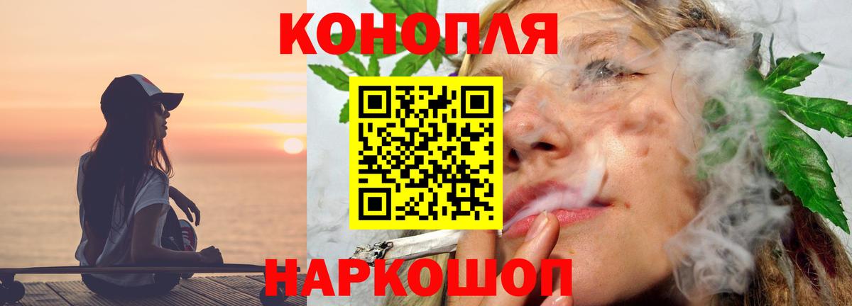 Конопля сатива  Канабис сатива  Конопля ГИДРОПОН  Североморск 